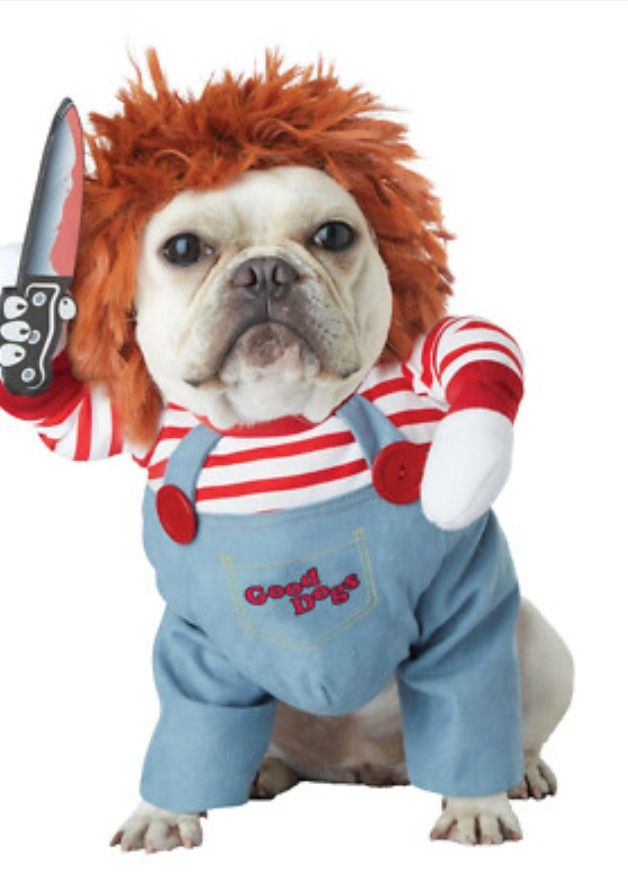 CHUCKY DOG COSTUME HALLOWEEN  MEDIUM