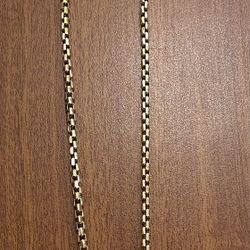 10kt Chain + 14kt Pendant