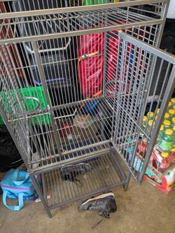 Bird cage
