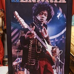 **RARE**HENDRIX IMAGE onHARDWOOD