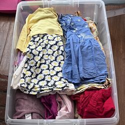 12 -18 Months Toddler Girl Clothing Lot
