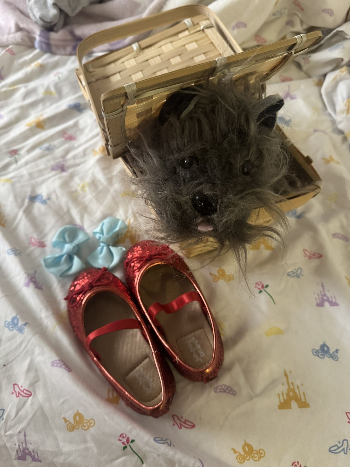 Dorothy From Wizard Of Oz Props