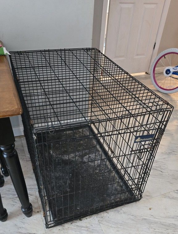 Dog Kennel