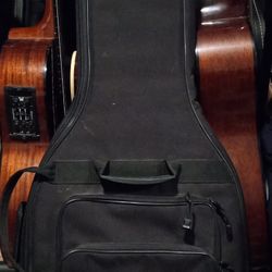 Guitar Case 