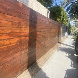 Painters ;Housekeeper ; Dog Grooming 