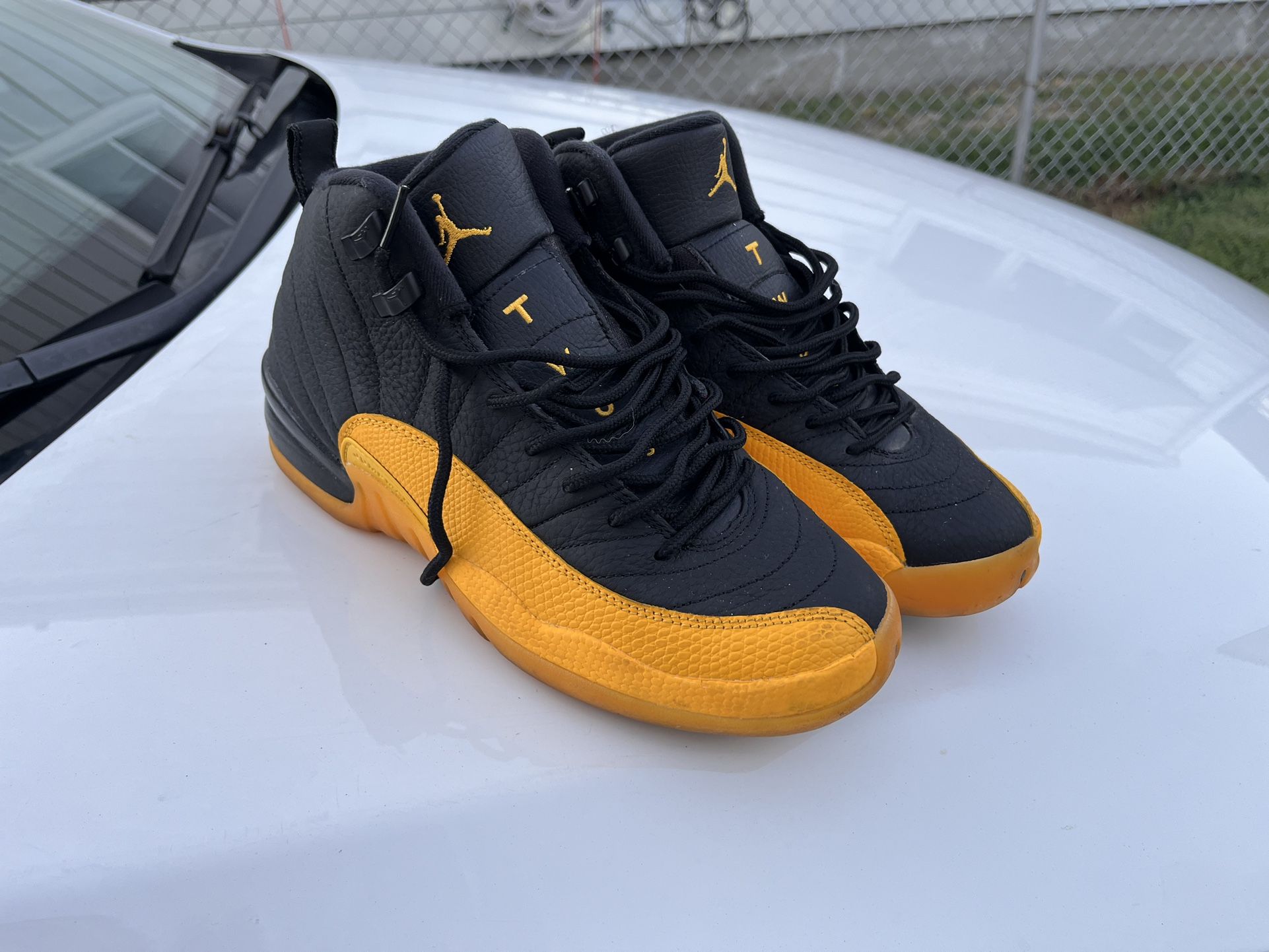 University Gold 12s
