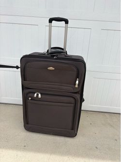 Large luggage 31” Height