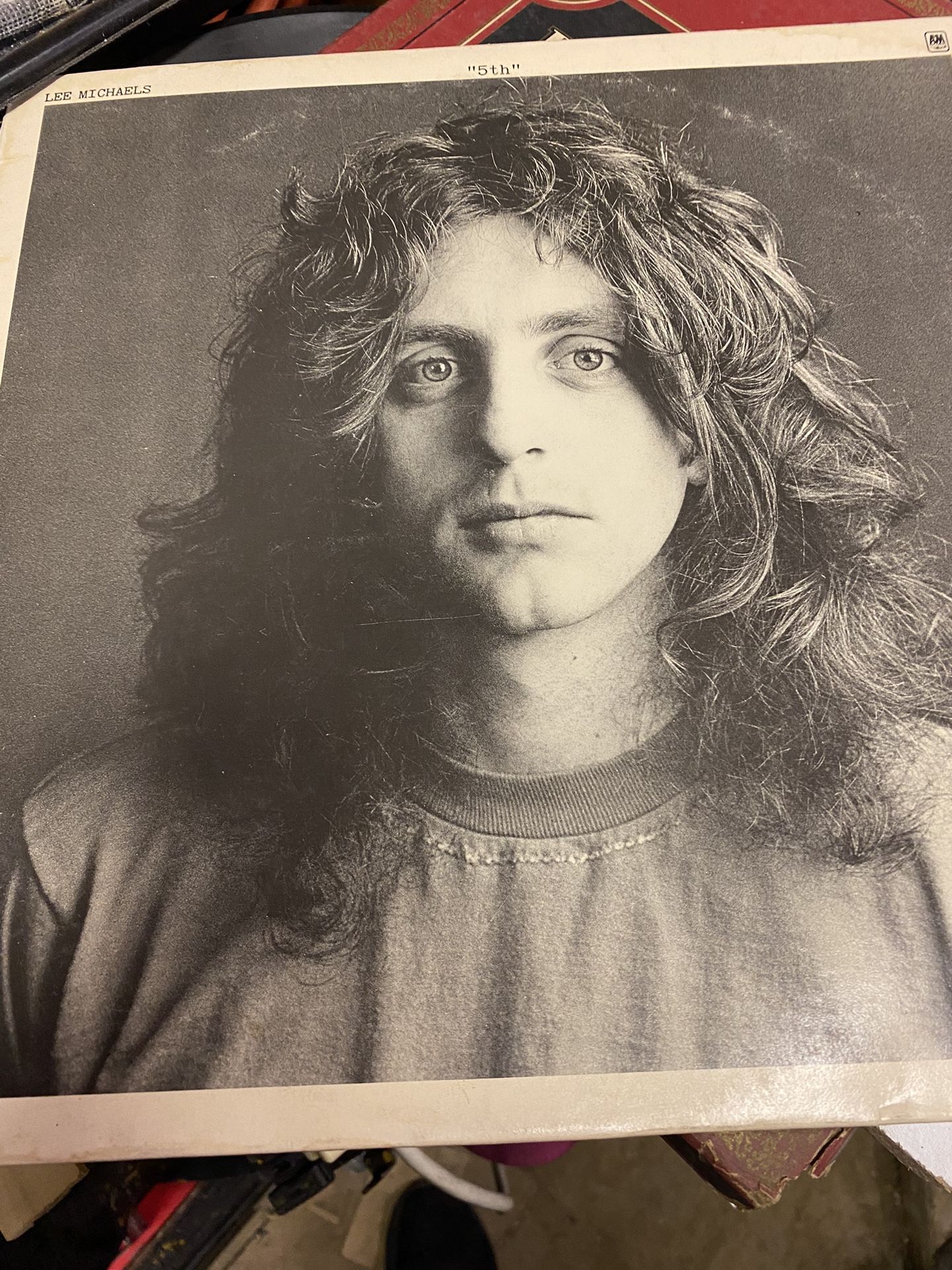 Lee Michaels