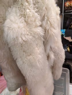Unbranded Fur Coat **MAKE AN OFFER**