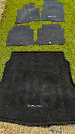 2015-2019 Hyundai Sonata Floor Mats and Cargo Mat