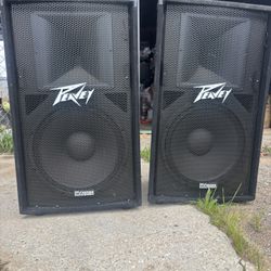 Peavey 115D Speakers