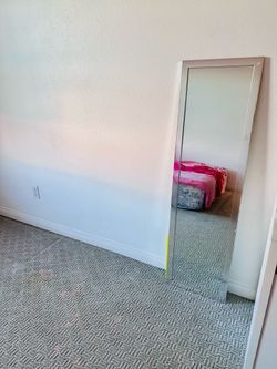 Mirror Stainless Steel only $20 (4’hright*14” width)