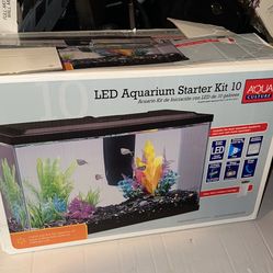 Fish Tank With All Goods