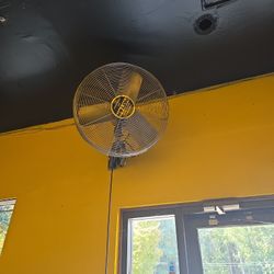 Fan