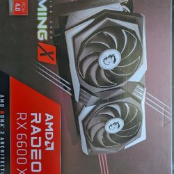 AMD RX 6600 XT Graphics Card