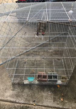 Big bird cage