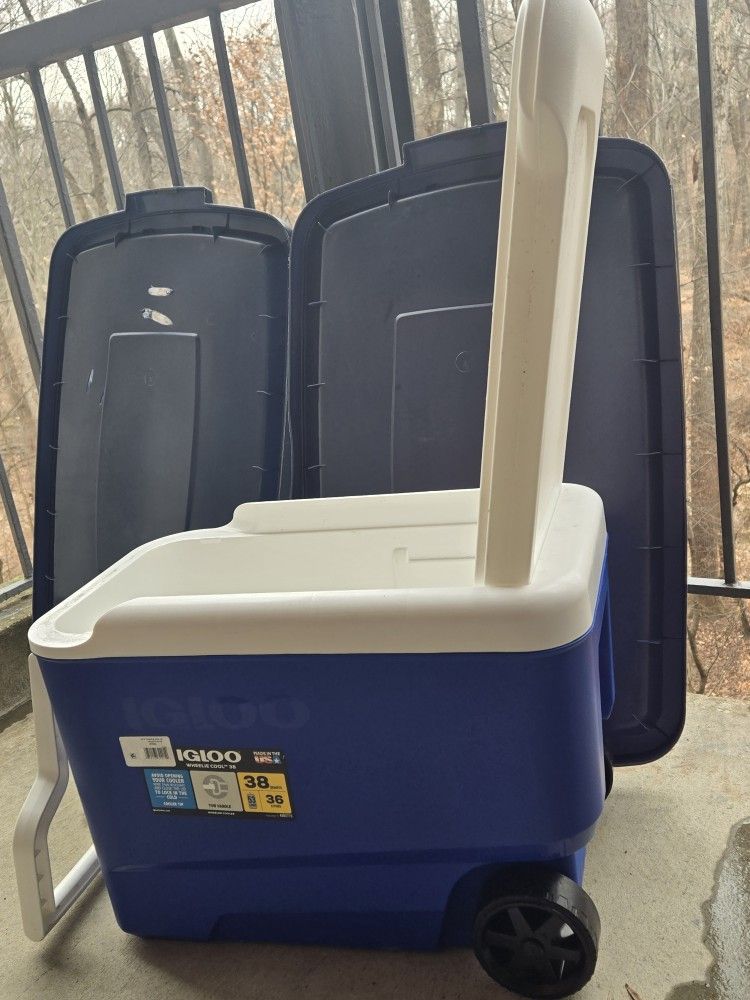 Igloo Cooler