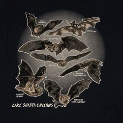 Bat Graphic Shirt Tee By Delta Pro Weight