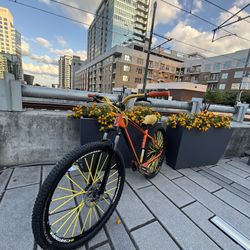 Scott Wheelie Bike Offer