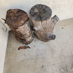Free tree stumps