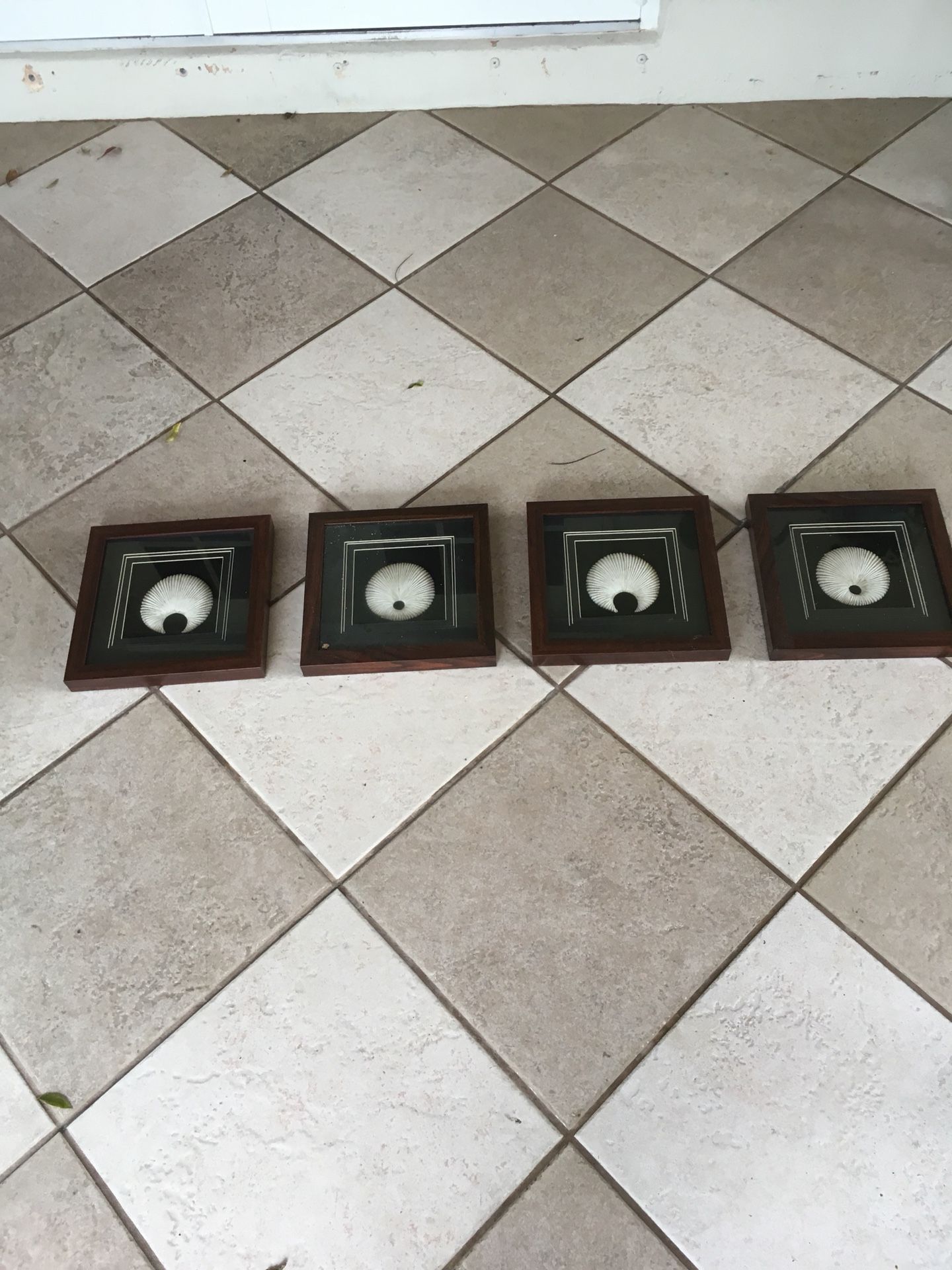Frames