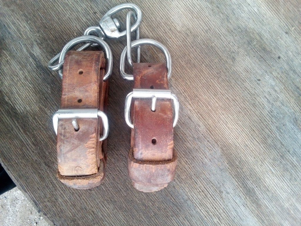 Leather Horse Hobbles