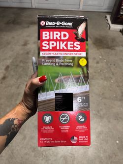 Bird spikes new