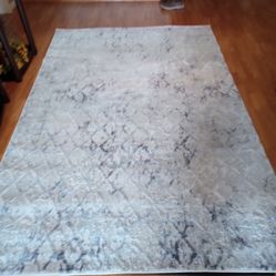 6 X 9 Area Rug