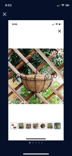 Plant Wall Hang