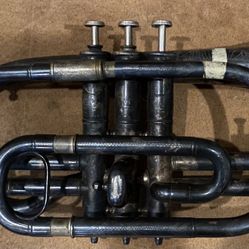 “Surprise” Cornet