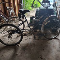 3 Wheel Adult Bike Vintage