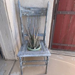 Vintage Chair With Aloe Vera