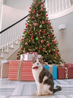 Christmas tree with lights and ornaments