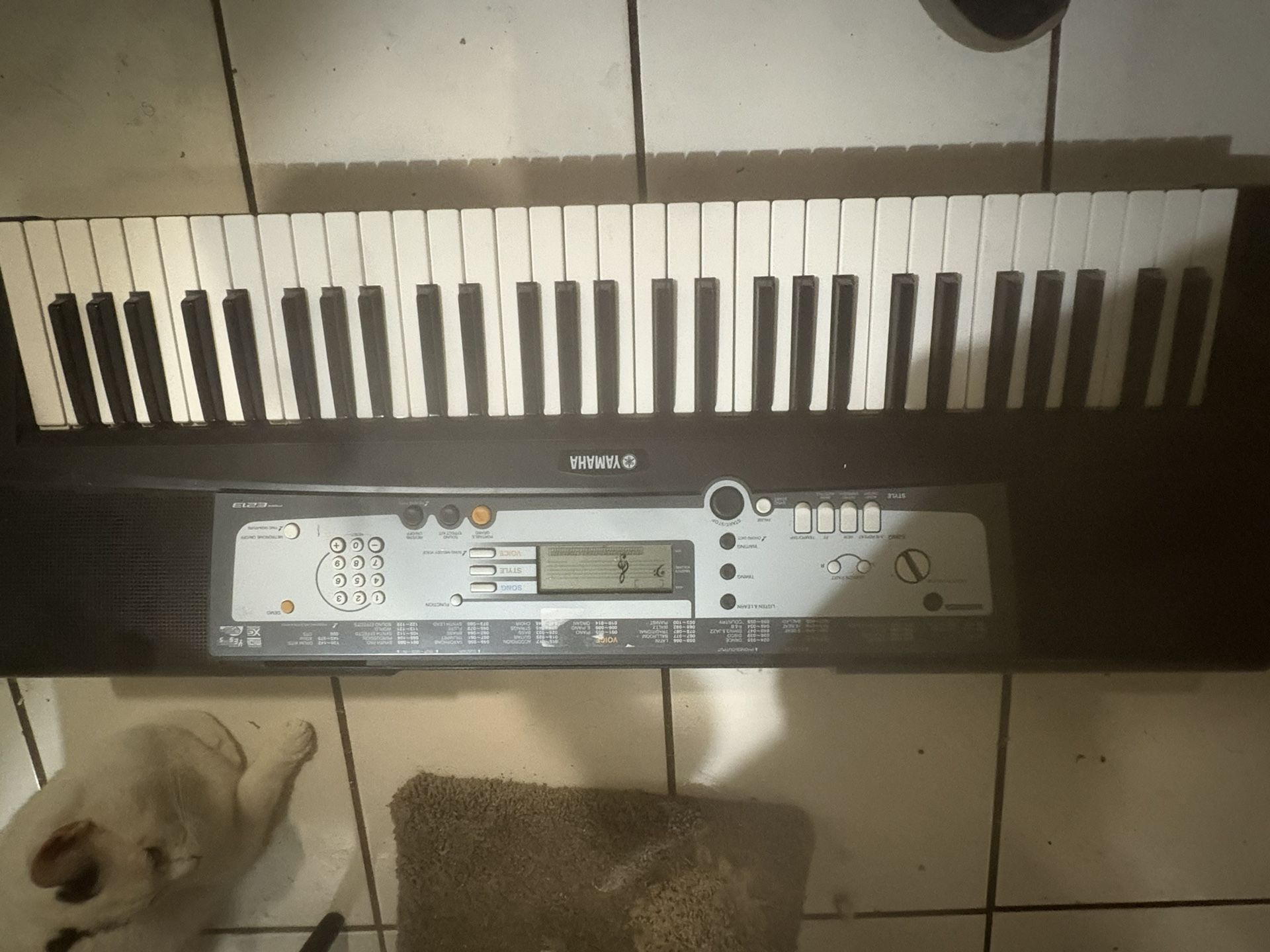 Yamaha PSR-E213