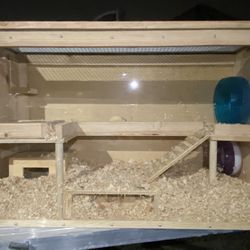 Hamster Cage