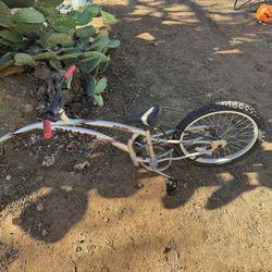 Trail A Bike Kids Bike Attachment 