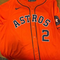 Houston astros 