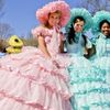 Southern Belle Boutique 
