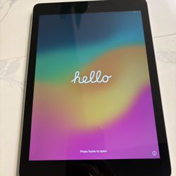 iPad (6th Gen) - Works Great! 