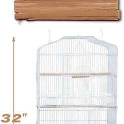 Cage For Birds 