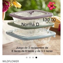 Set De 3 Refractarios Nuevos En Sus Cajas 🌺 Princess House 🌺