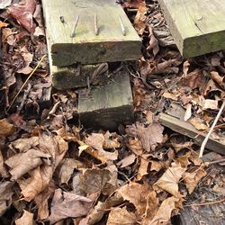 Free Dismantled Deck Boards