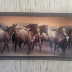 Galloping Horses at Sunset  - Framed Print