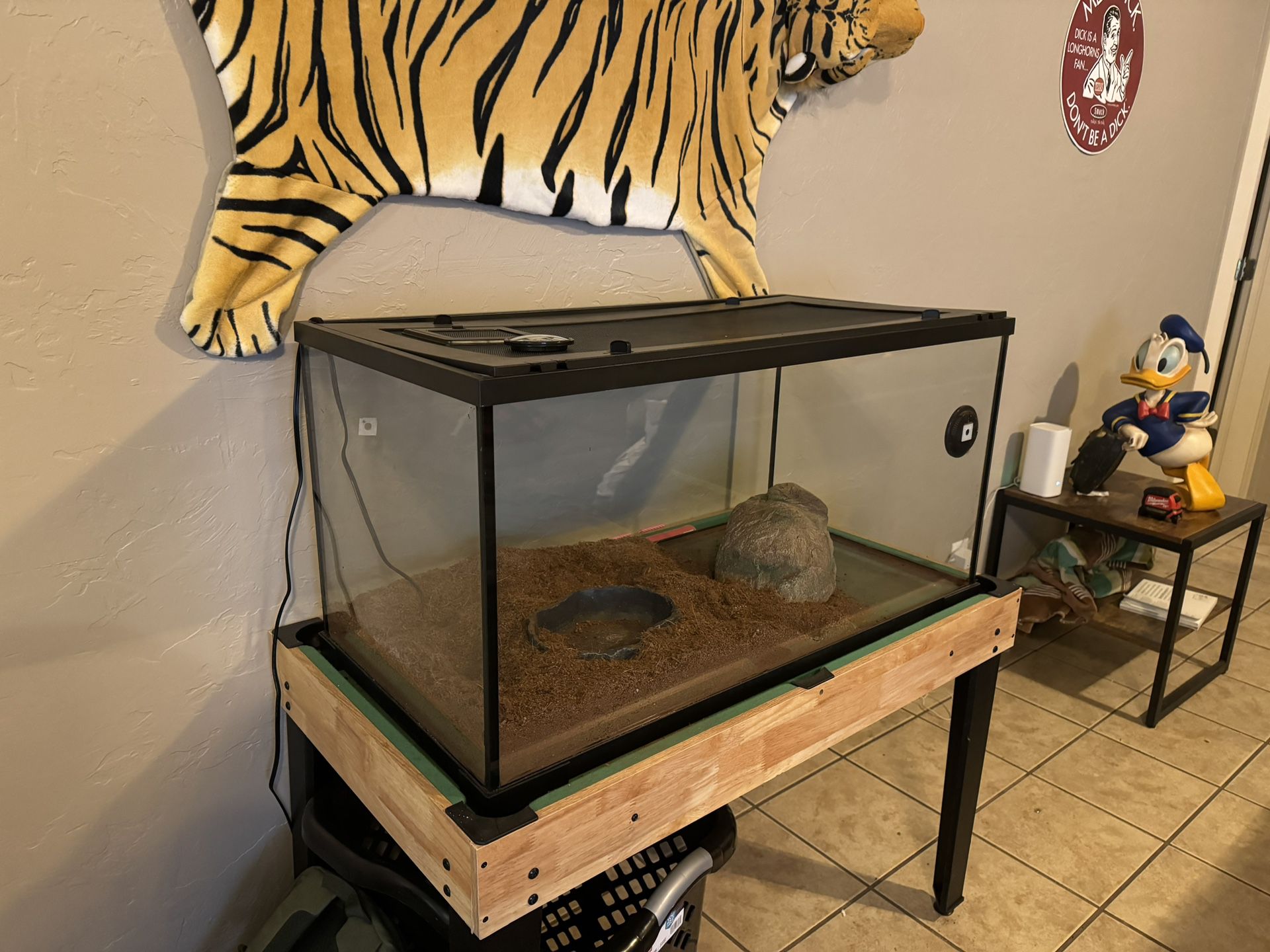 Terrarium For Sale - Includes Water Bowl, Structure, And Heat Lamp Fixture