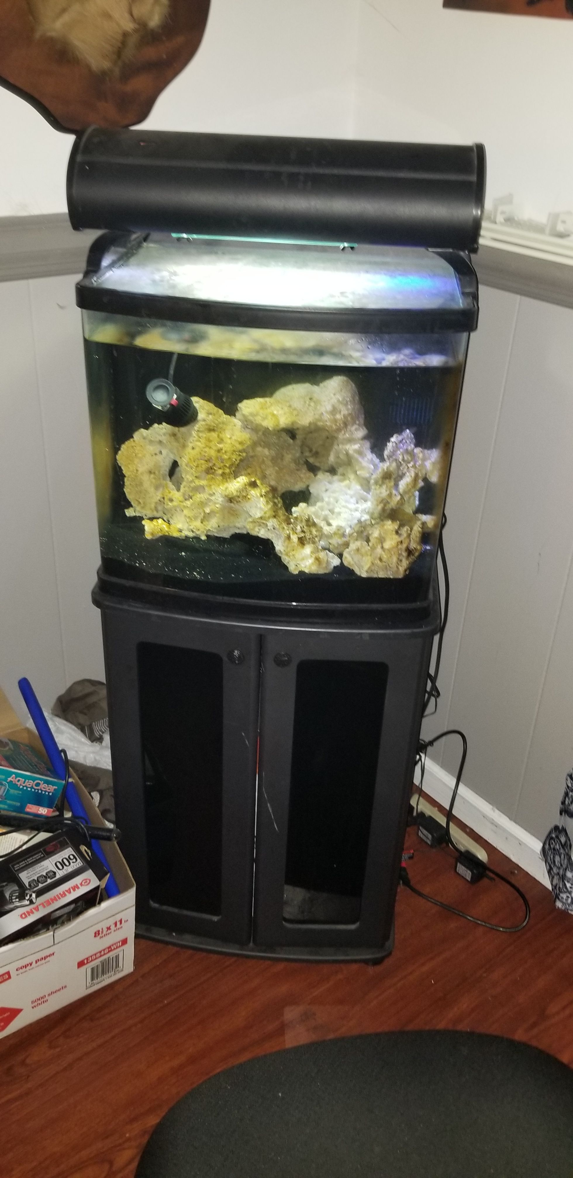 28 gallon saltwater tank