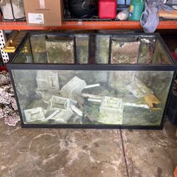 Fish Tank 48x24x25