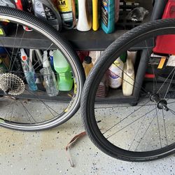 Rolf Vector Bicycle Wheels and Tires Set