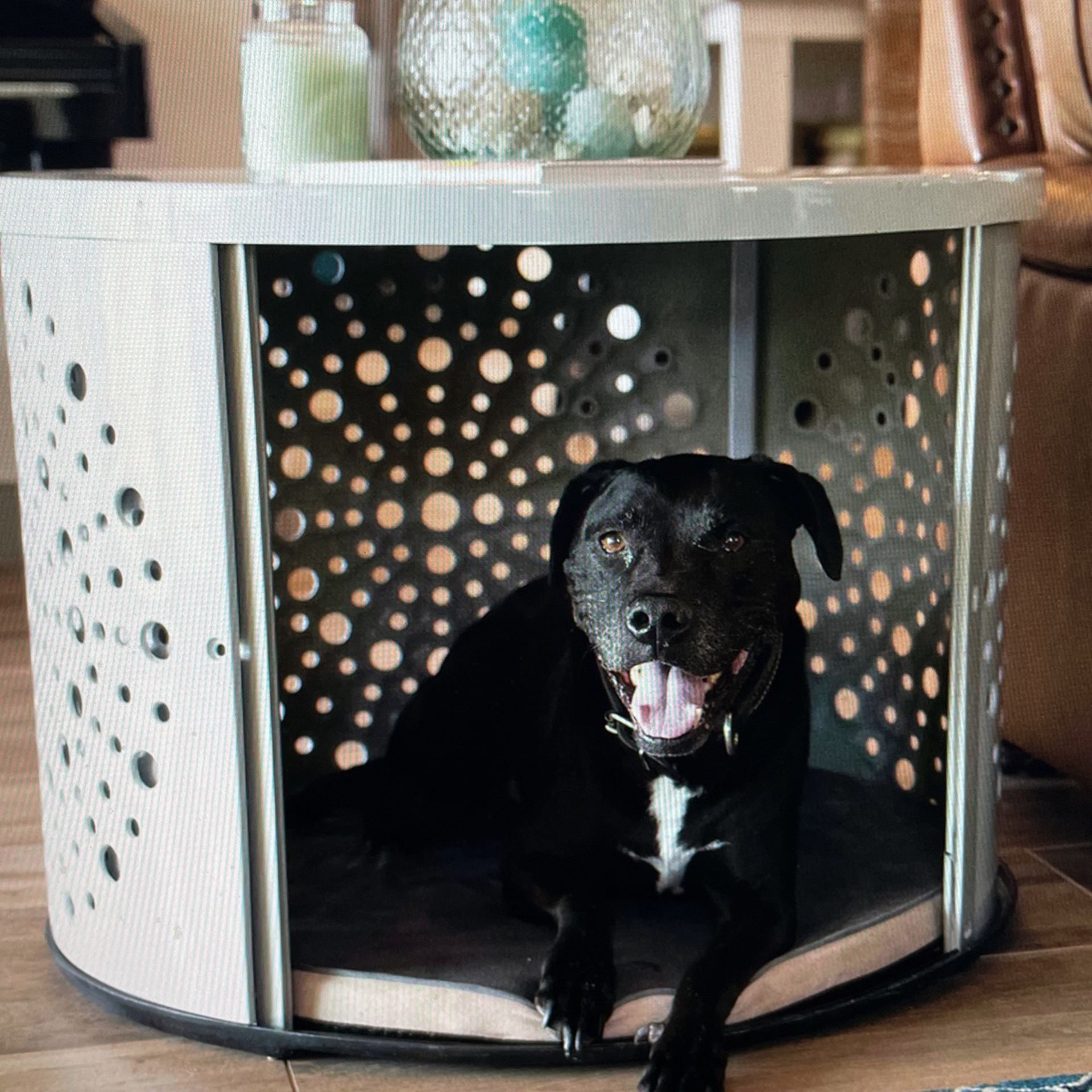 Bowhaus Round Dog Crate + Bed - Medium