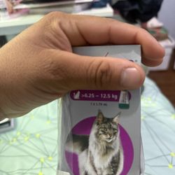 Dog And Cat Fleas/ticks 