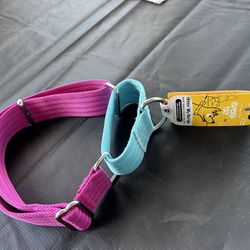 Dog Collar